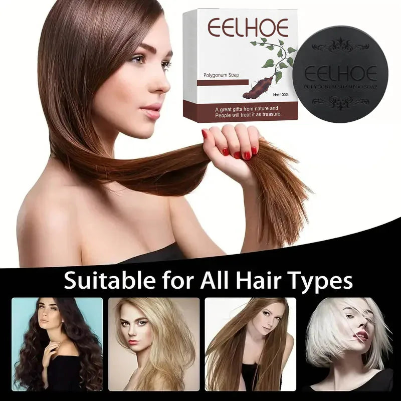 Shampoo de Sabão Super Polygonum multiflorum Thunb