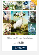 Bird Girl Pré-Impresso Cross Stitch Kit Completo DIY Bordado DMC Fios Artesanato Tricô Hobby Pacote Mágico Jóias