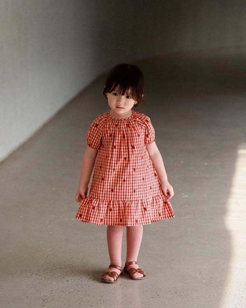 2024 Verão Floess Roupas Infantis Bebê Meninas Vestido de Algodão Xadrez Morango Manga Curta Camisetas Shorts Ternos Roupas Infantis