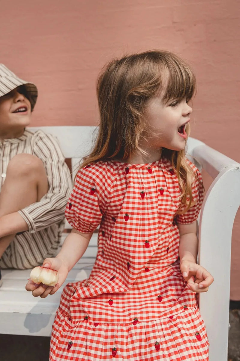 2024 Verão Floess Roupas Infantis Bebê Meninas Vestido de Algodão Xadrez Morango Manga Curta Camisetas Shorts Ternos Roupas Infantis