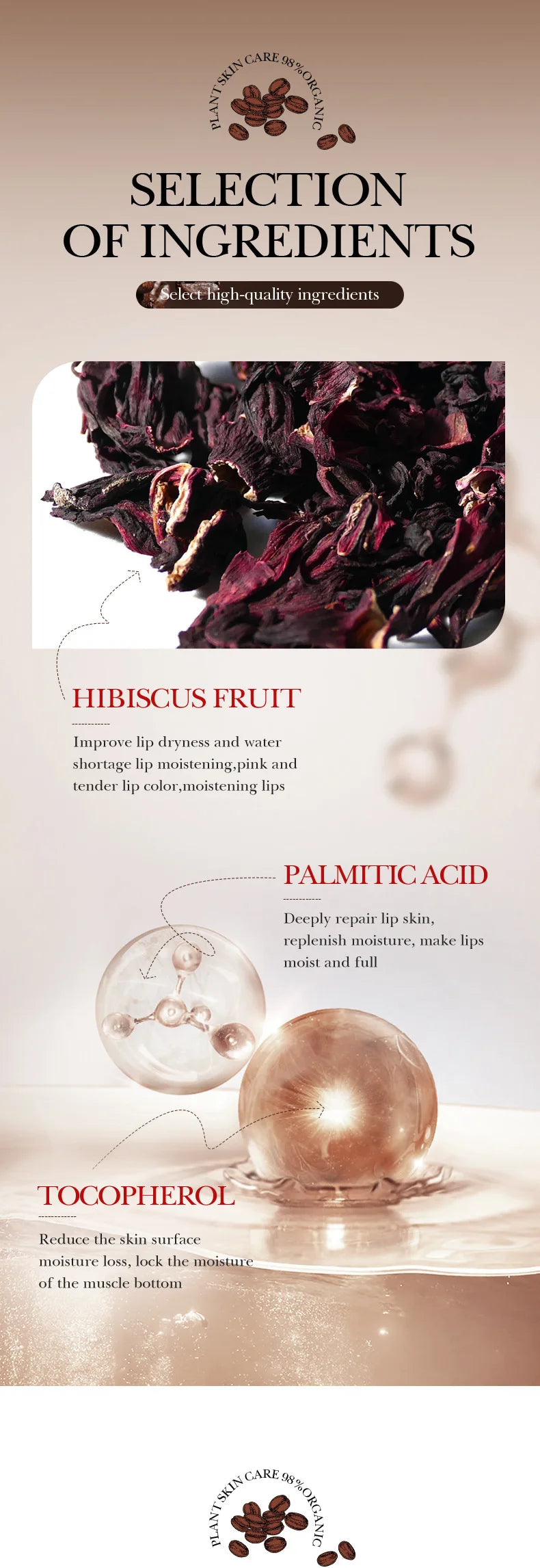 Máscara Labial Hidratante SABOR café