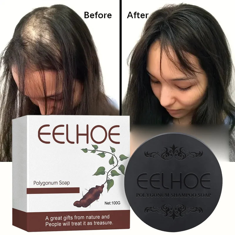 Shampoo de Sabão Super Polygonum multiflorum Thunb