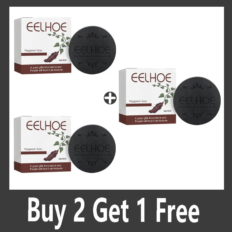 Shampoo de Sabão Super Polygonum multiflorum Thunb