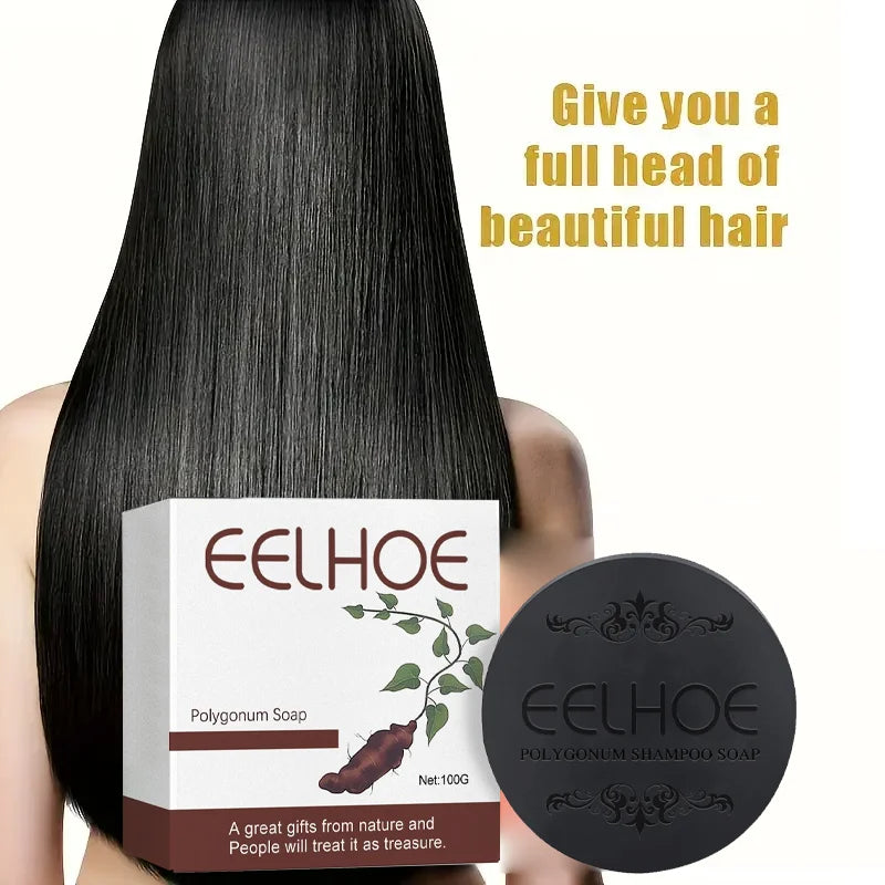 Shampoo de Sabão Super Polygonum multiflorum Thunb